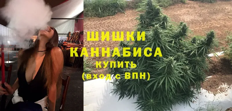 Канабис OG Kush  цена   Октябрьский 